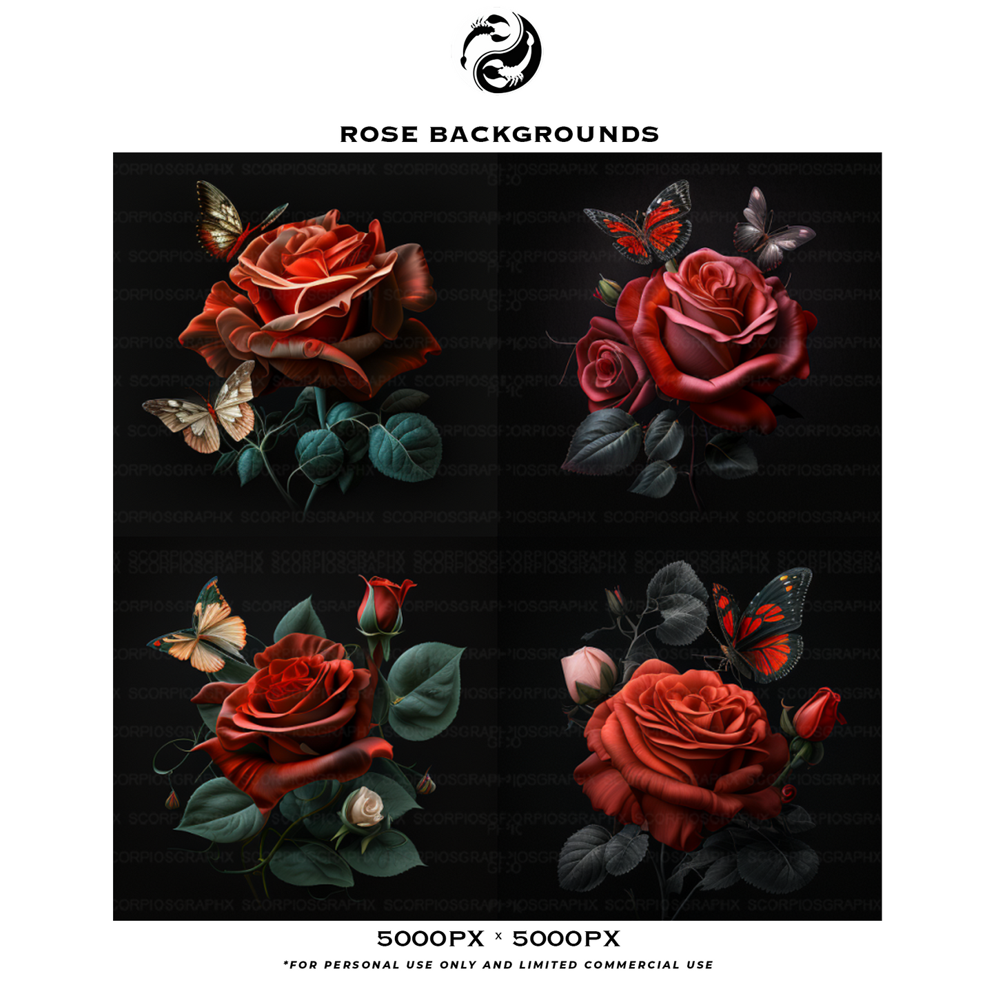 Rose Backgrounds