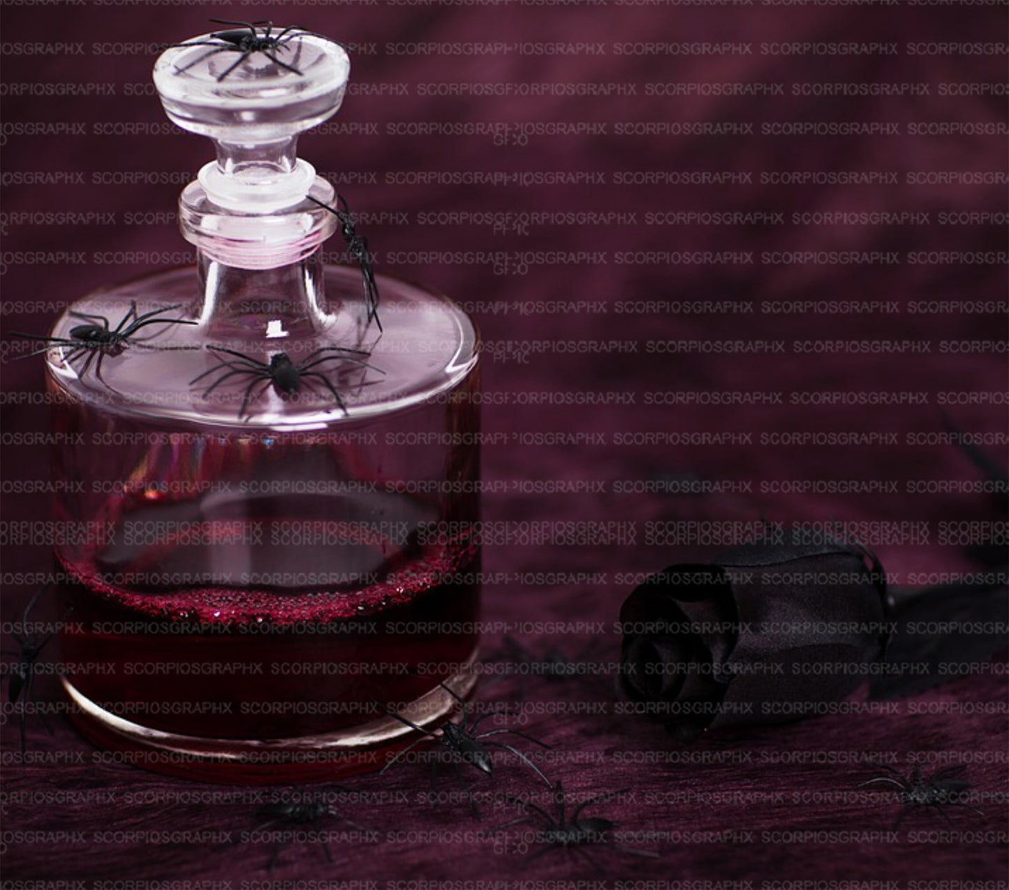 Love Potion No.9 Magic PNG | Sublimation | Tumbler Wrap Design | Digital Download